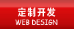 網站定制開發